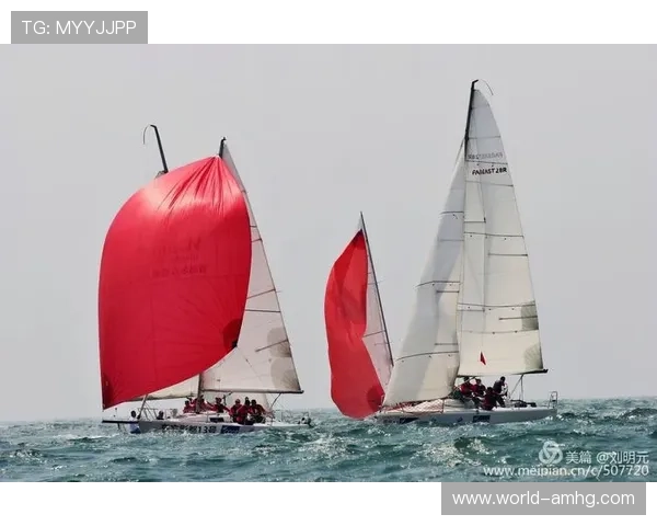 半岛体育官网首页全面解析最新体育赛事信息与精彩瞬间